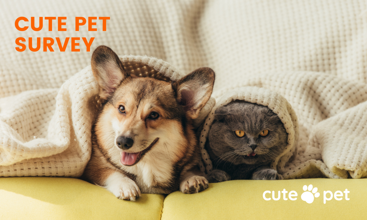 Cute Pet Survey